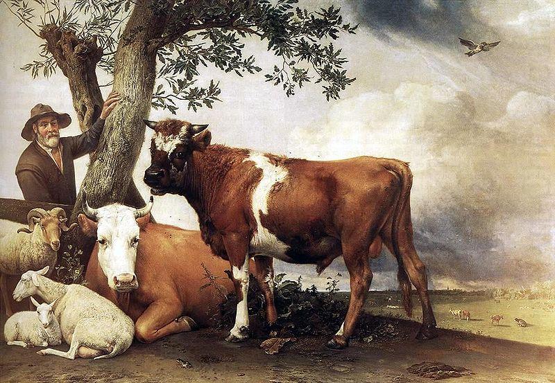 bull, POTTER, Paulus